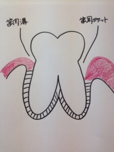 201509053